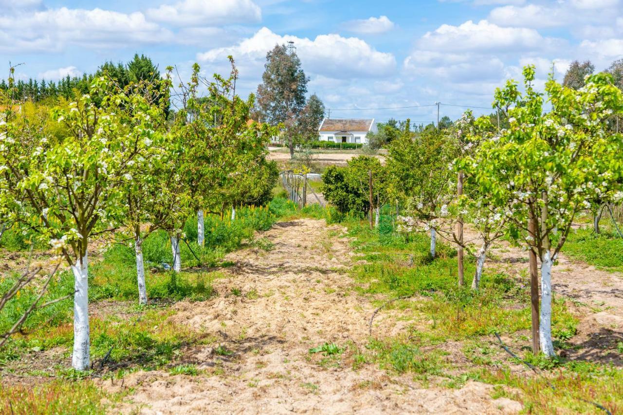 Chitaka'S Organic Farmhouse In Ribatejo Santo Estevao  Buitenkant foto